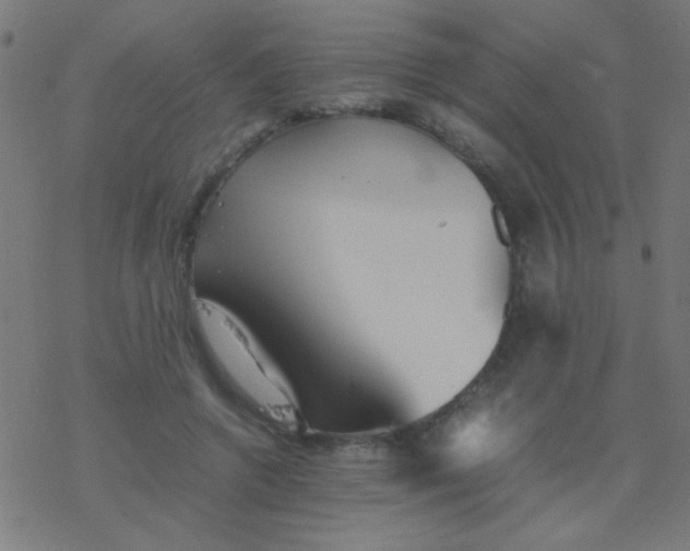 X0000077380546200611101732