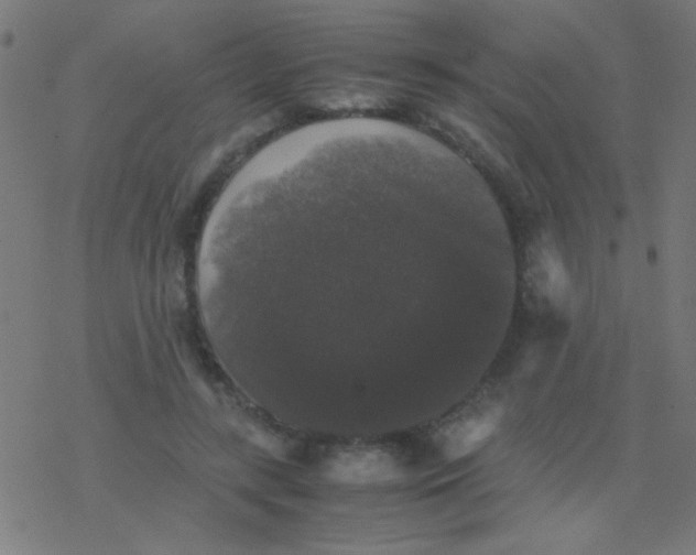 X0000077380547200611101732