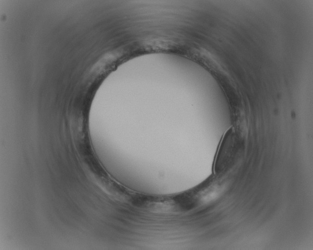 X0000077380548200611101732