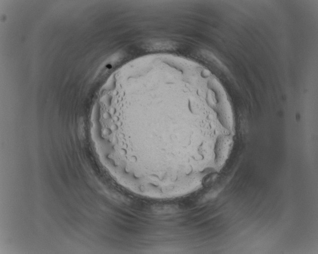 X0000077380549200611101732