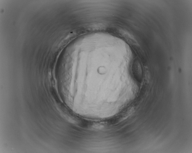 X0000077380550200611101732