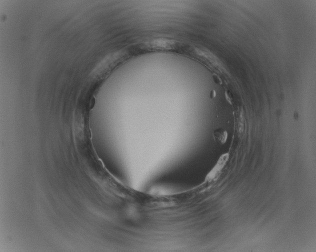 X0000077380552200611101732