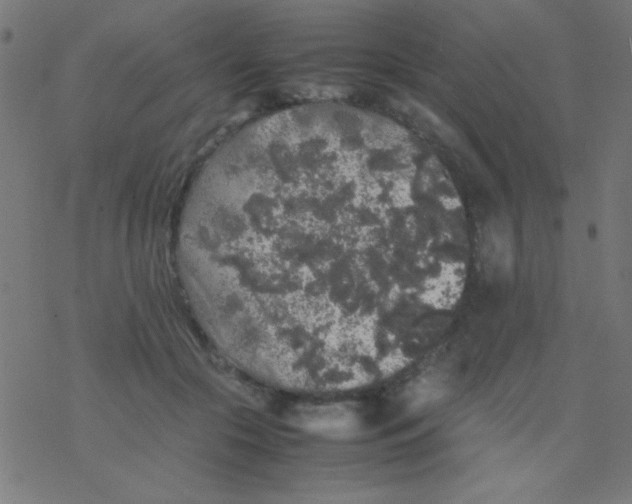 X0000077380553200611101732