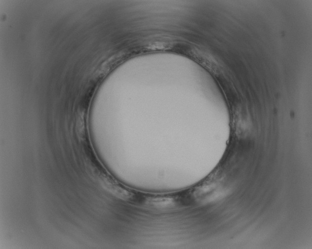 X0000077380554200611101732