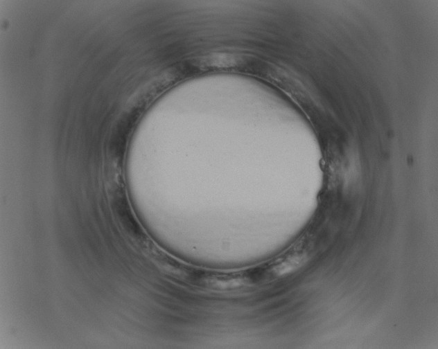 X0000077380555200611101732