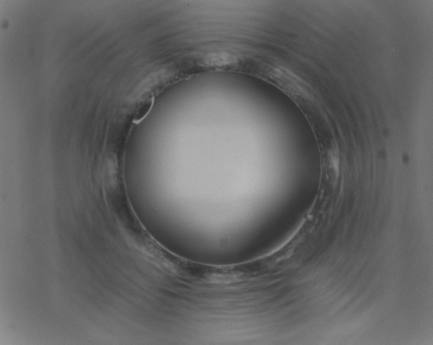 X0000077380556200611101732