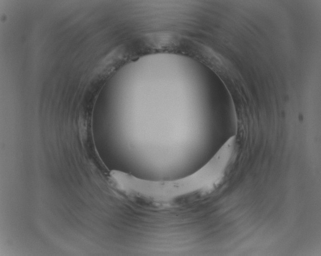 X0000077380558200611101732