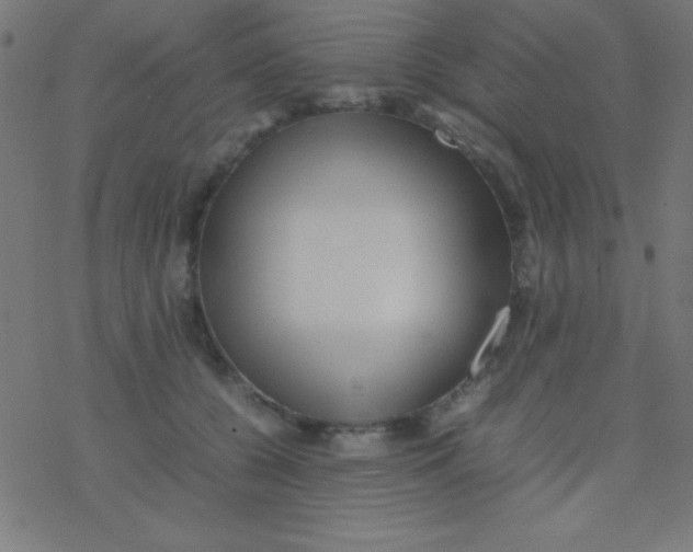 X0000077380560200611101732