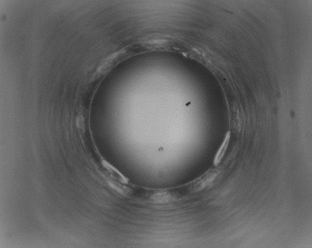 X0000077380562200611101732