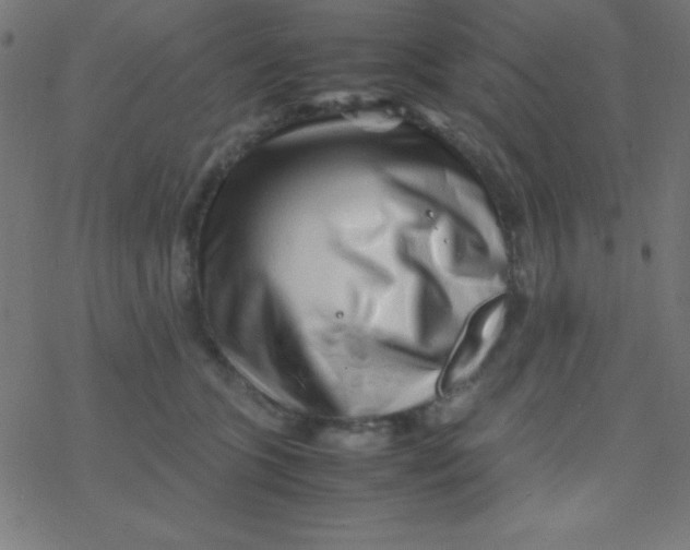 X0000077380563200611101732