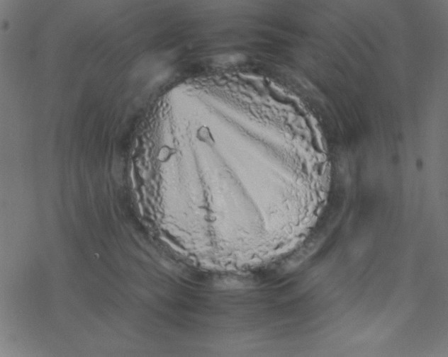 X0000077380565200611101732