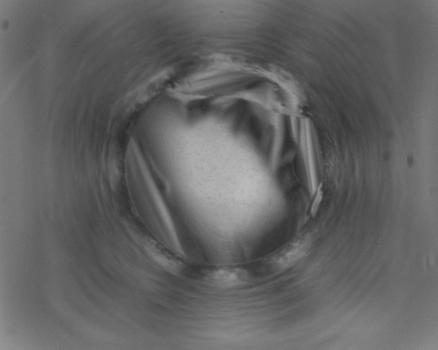 X0000077380566200611101732