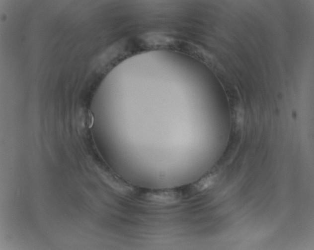 X0000077380567200611101732