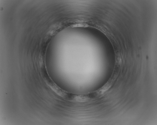 X0000077380568200611101732