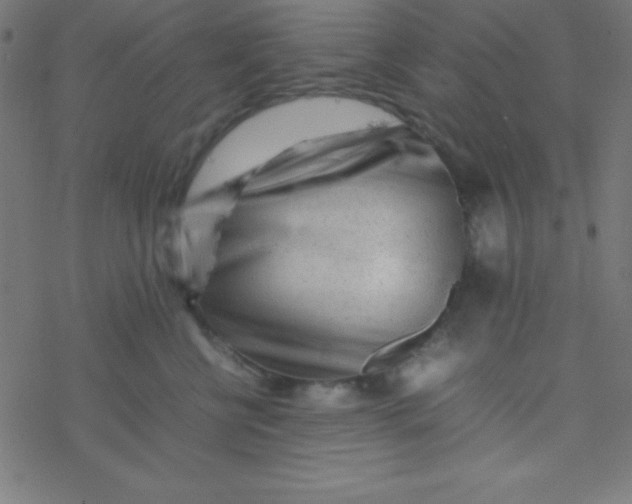 X0000077380570200611101732