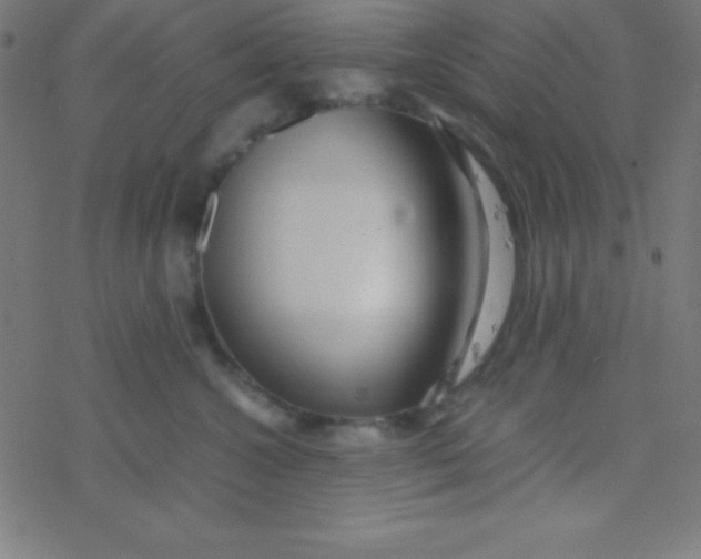 X0000077380572200611101732