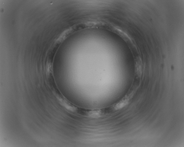 X0000077380574200611101732