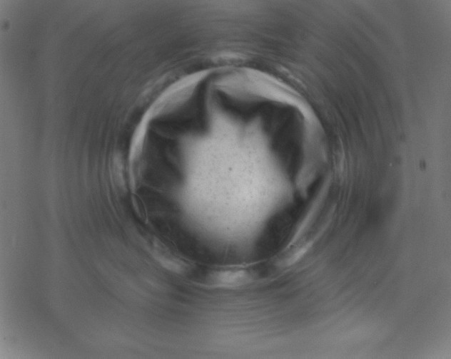 X0000077380575200611101732