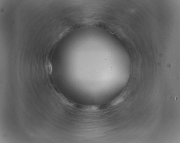 X0000077380576200611101732