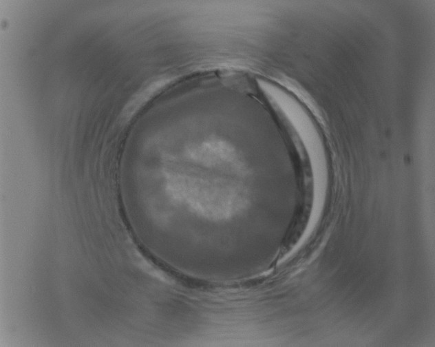 X0000077380577200611101732