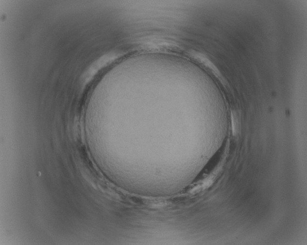 X0000077380579200611101732