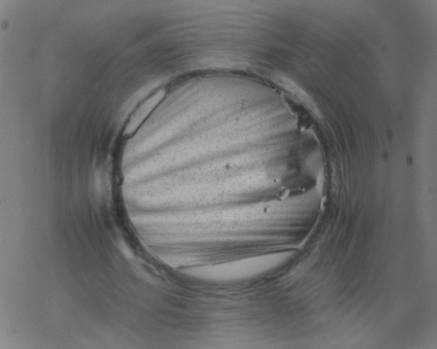 X0000077380580200611101731