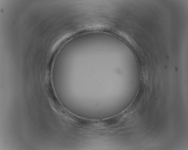 X0000077380583200611101731