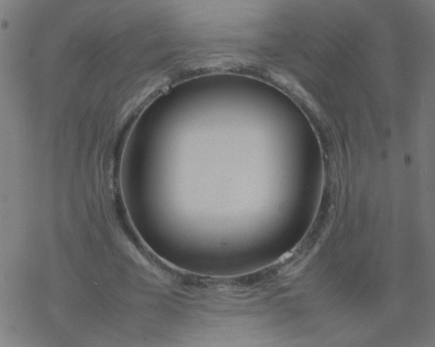 X0000077380585200611101731