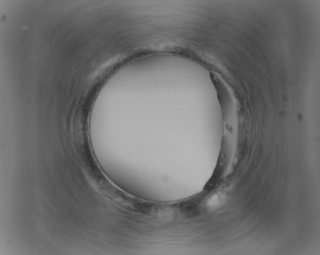 X0000077380587200611101731