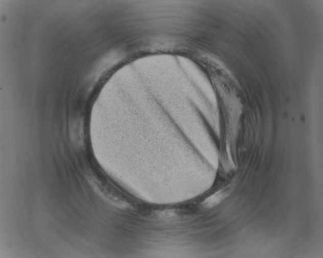 X0000077380588200611101731