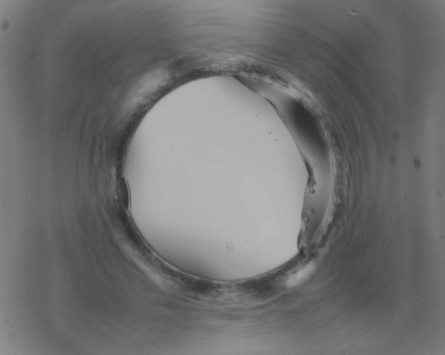 X0000077380589200611101731