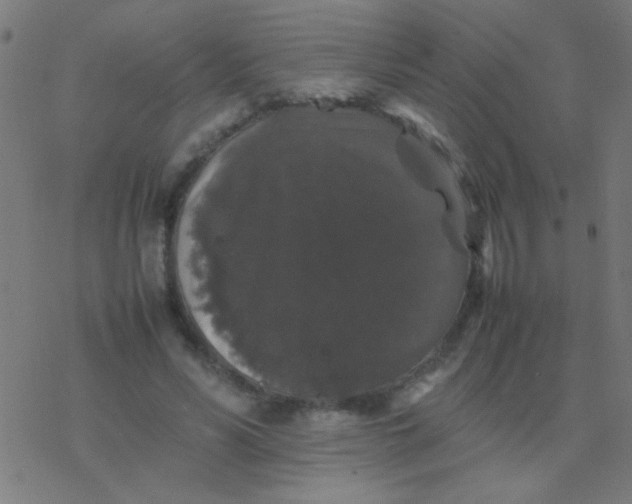 X0000077380590200611101731