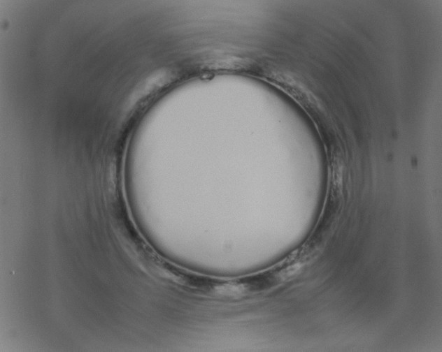 X0000077380591200611101731