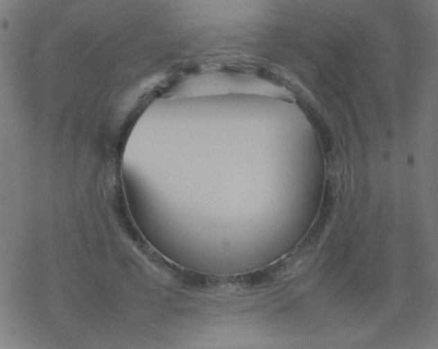 X0000077380593200611101731