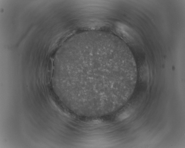 X0000077380594200611101731