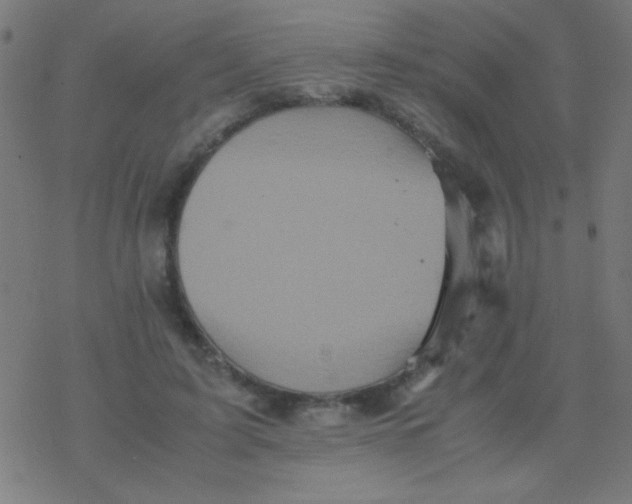 X0000077380595200611101731