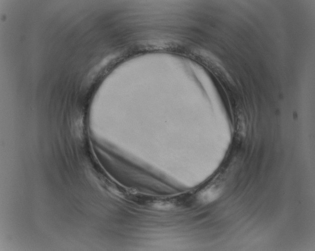 X0000077380596200611101731