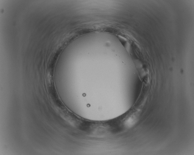 X0000077380597200611101731