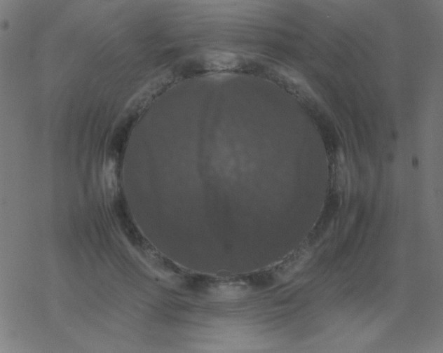 X0000077380598200611101731