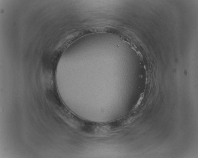 X0000077380599200611101731