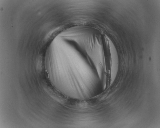 X0000077380600200611101731