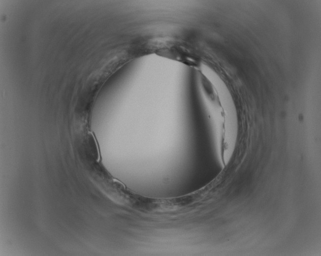 X0000077380601200611101731