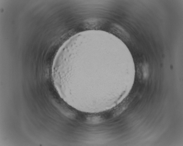 X0000077380602200611101731