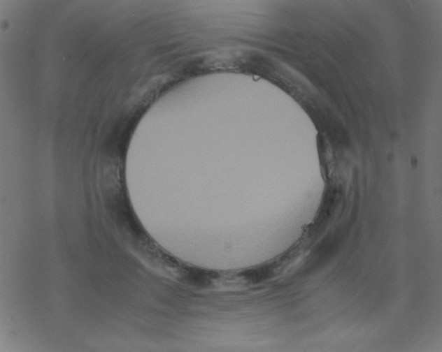 X0000077380603200611101731