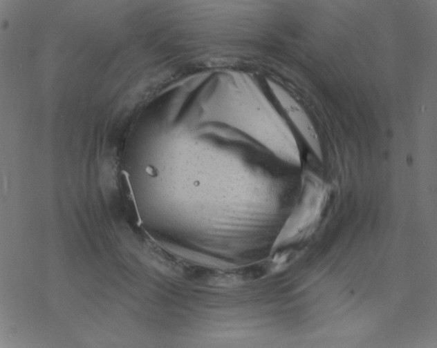 X0000077380604200611101731