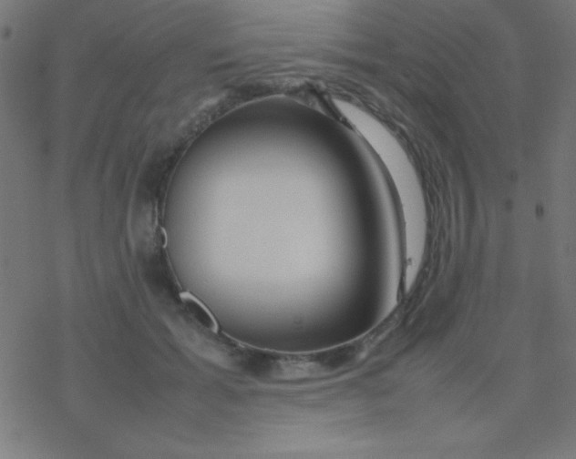 X0000077380605200611101731