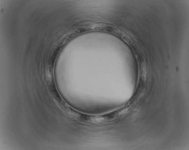 X0000077380607200611101731