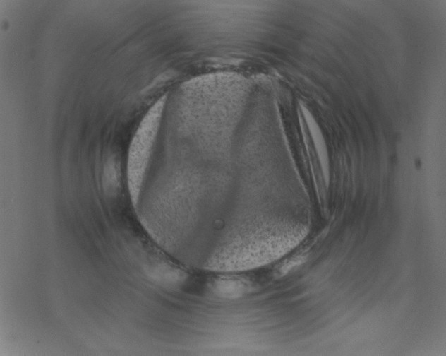 X0000077380608200611101731