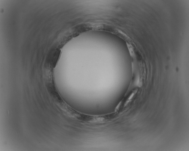 X0000077380609200611101731