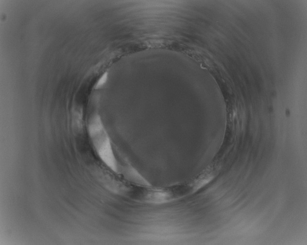 X0000077380610200611101731